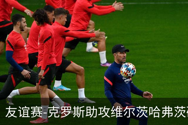 友谊赛-克罗斯助攻维尔茨哈弗茨破门 德国2-0法国